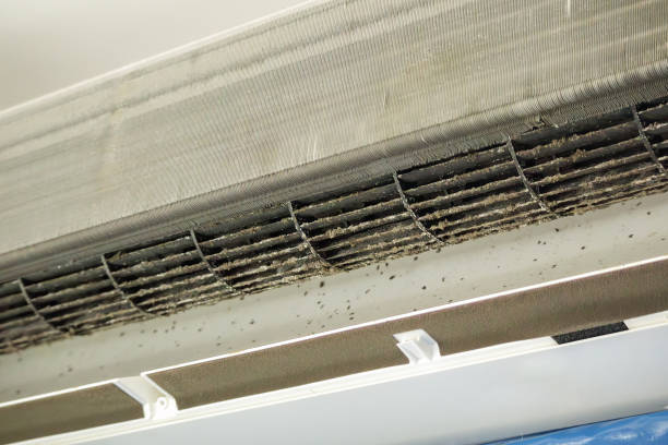 Best HVAC Air Duct Cleaning  in El Valle De Arroyo Seco, NM